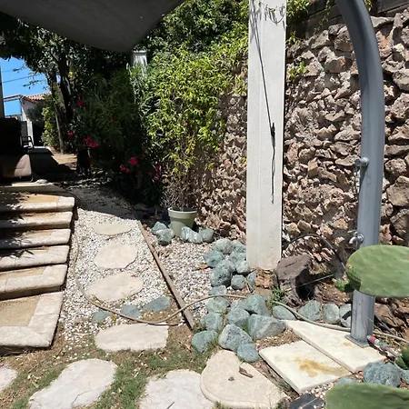 Le Bateau De * Sète